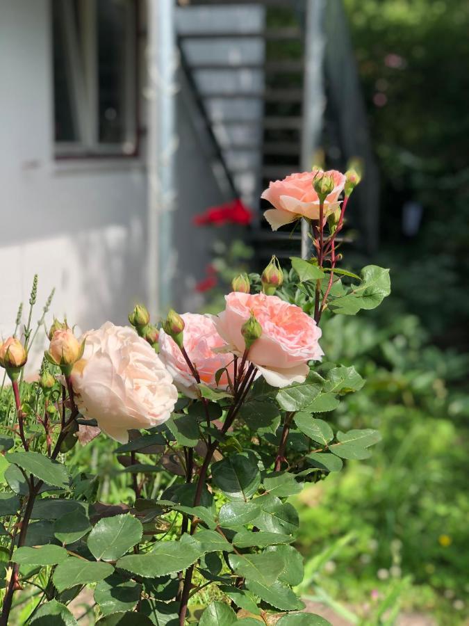 Charmante Ferienwohnung Mit Balkon Im 5-Seen-Land Hechendorf am Pilsensee المظهر الخارجي الصورة